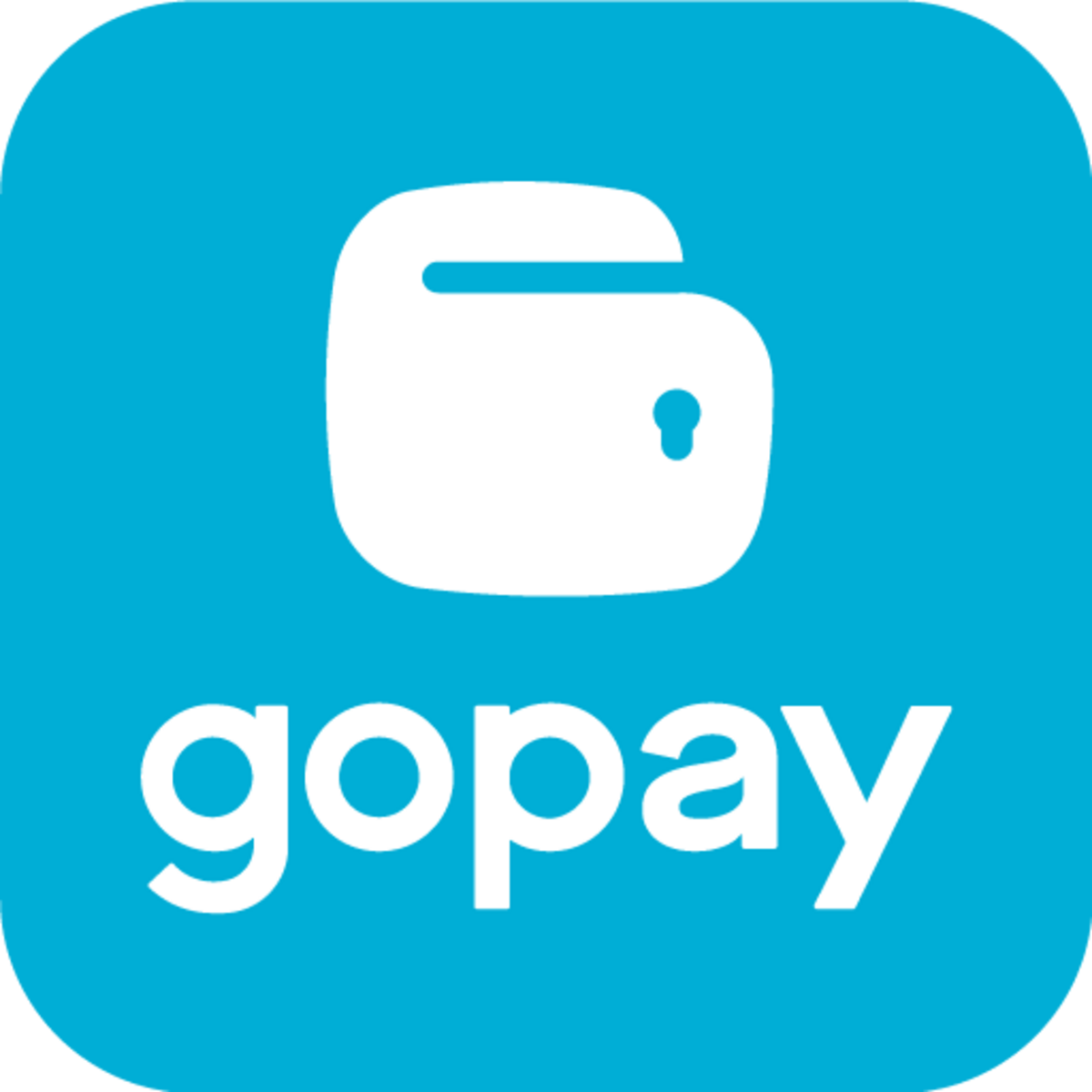 GO PAY